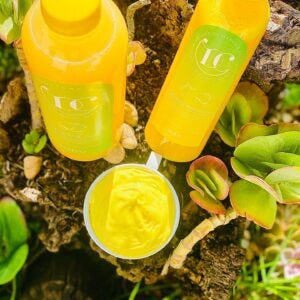 Tropical Mule